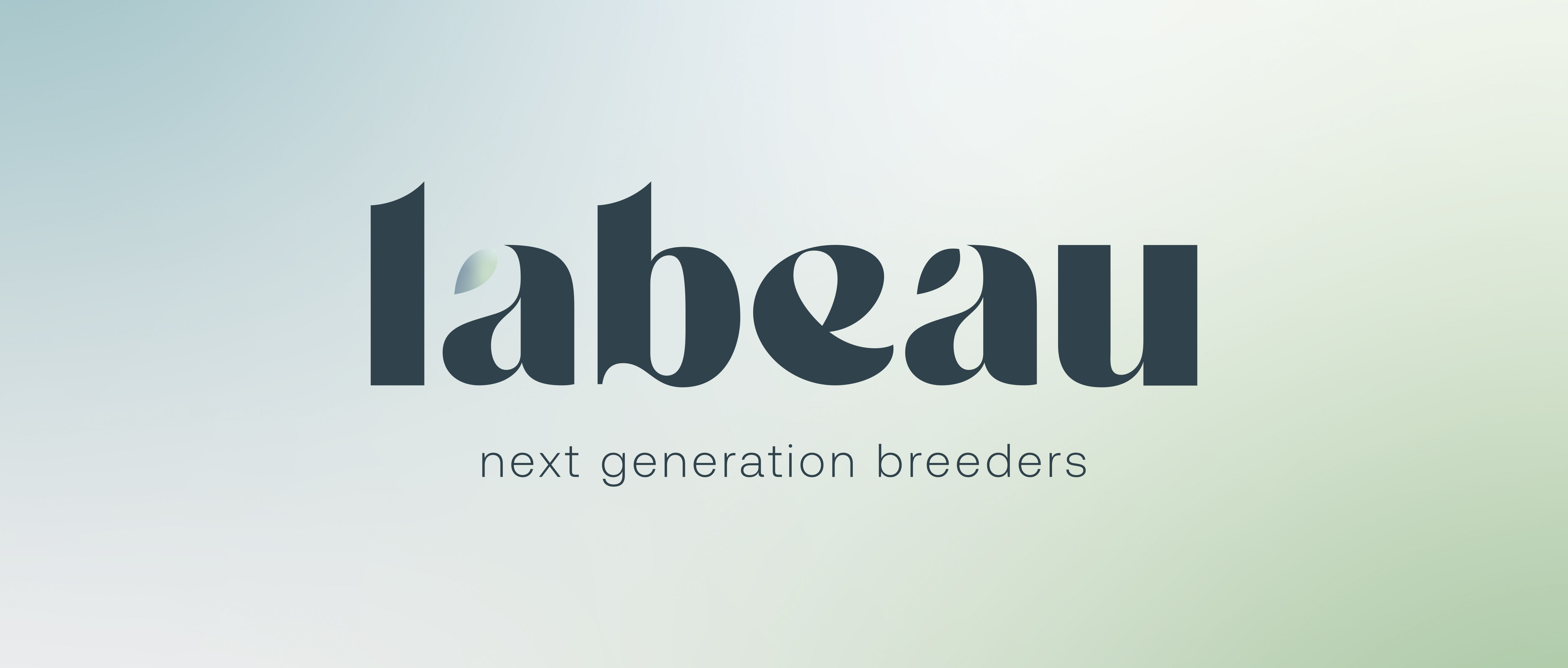 Labeau logo BG
